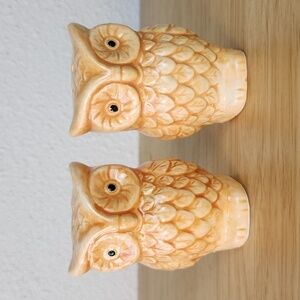 Ceramic Owl Salt and Pepper Shakers